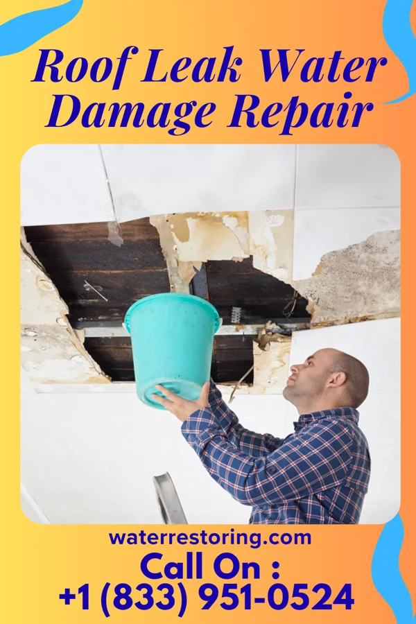Roof Leak Water Damage Repair in Stockton, UT